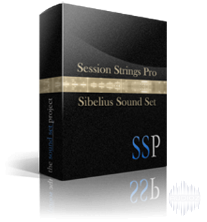 Native Instruments Session Strings 2 V1.0 [KONTAKT] Download Free